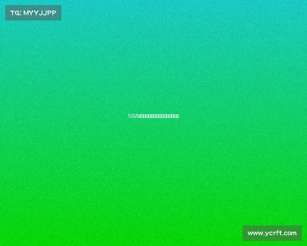 NBA高效球员的秘密：背后的训练与技巧